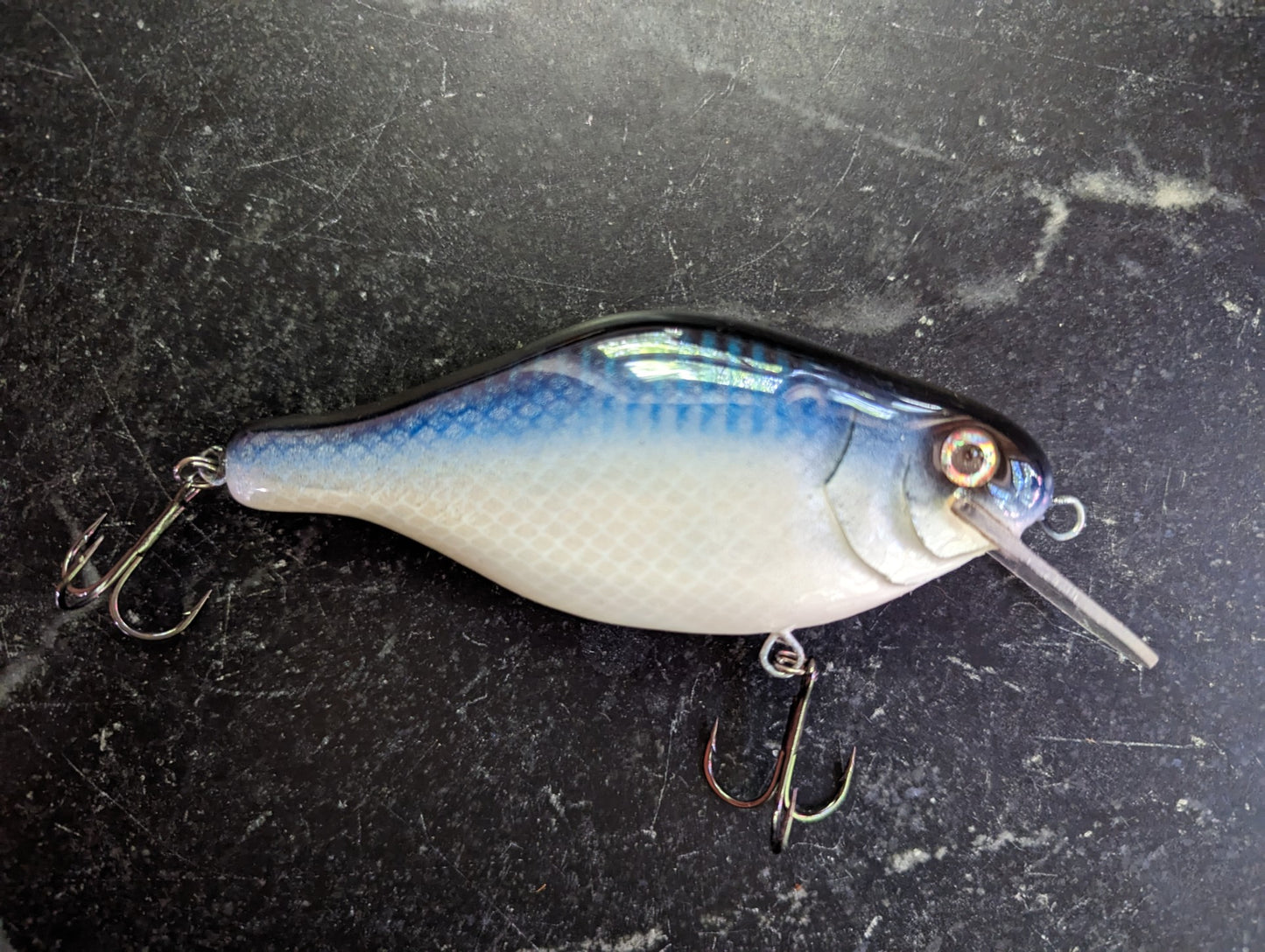 Large shallow diver