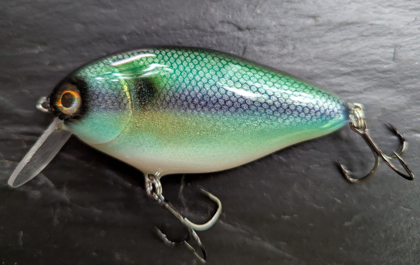 Pike's Delight 2 shallow diver